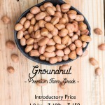 Ground nut - #4